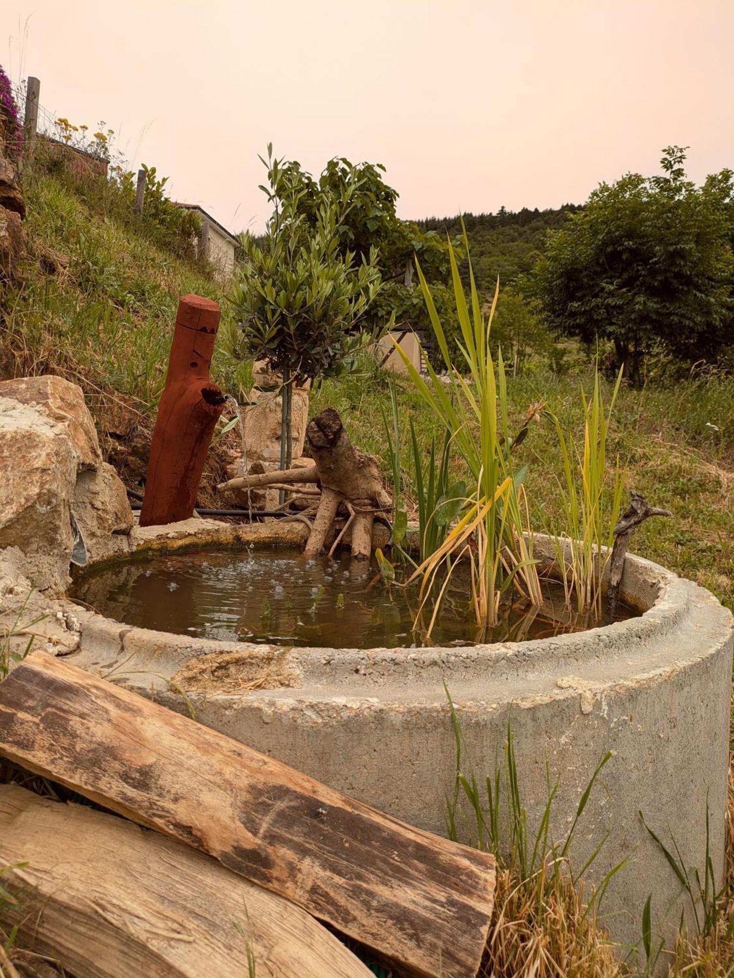 Terre De Sienne Daire Saint-Clair  Dış mekan fotoğraf